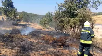 Manisa'da Arazi Yangını Kontrol Altına Alındı