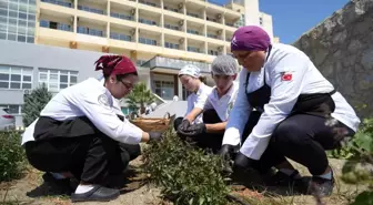 Reyhan Şerbeti Yaz Aylarının Şifa Kaynağı