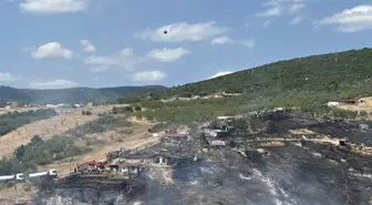 Kocaeli'de Orman Yangını Kontrol Altına Alındı