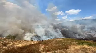 Kocaeli Derince'de Ot Yangını Çıktı