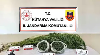 Kütahya'da Uyuşturucu Operasyonu: 472 Gram Esrar ve Kenevir Ele Geçirildi