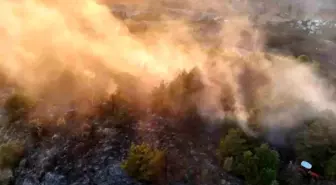 Ordu'da Orman Yangını Kontrol Altına Alındı