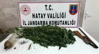 Hatay'da Uyuşturucu Operasyonu: 5 Kök Kenevir ve Uyuşturucu Hap Ele Geçirildi