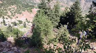 Adana'da Uçuruma Yuvarlanan Otomobilin Sürücüsü ve Yanındaki Kişi Hayatını Kaybetti