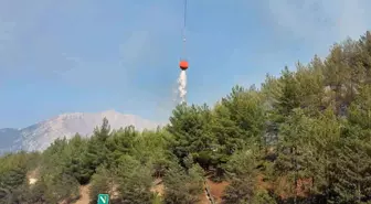Adana'da Otoyolda Yanan Araç Orman Yangınına Sebep Oldu