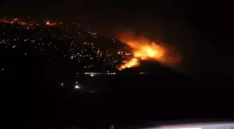 Pamukkale'de Orman Yangınına Müdahale Devam Ediyor