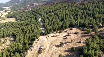 Pamukkale'deki Yangının Bıraktığı Hasar Drone ile Görüntülendi
