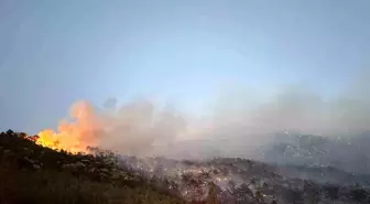 Denizli'de Orman Yangını Kontrol Altına Alındı