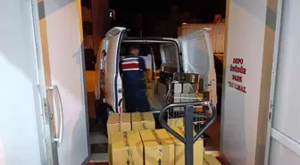 Balıkesir'de Sahte Zeytinyağı Üretimine Baskın: 15 Bin Litre Zeytinyağı Ele Geçirildi