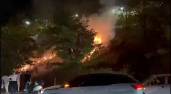Sapanca'da Meşale Sebebiyle Yangın Çıktı