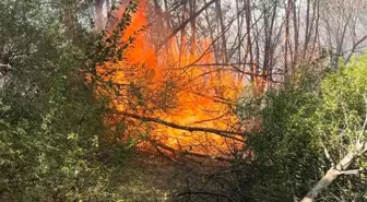 Elazığ'da Otluk Alanda Yangın