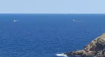 Yalova'da Batık Tekne Kazasında Cenaze Çıkarma Çalışmaları Devam Ediyor