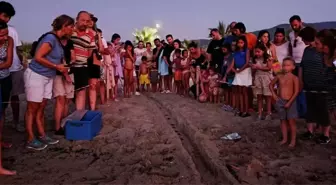 Kuşadası'nda Caretta Caretta Yavruları Denizle Buluştu
