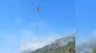Doğanyol'daki Orman Yangını 21 Saat Sonra Kontrol Altına Alındı