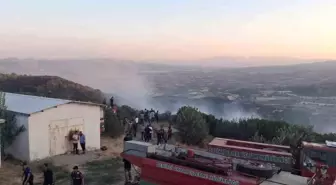 Manisa'da Orman Yangınına Hızlı Müdahale