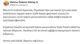 Bakan Göktaş'tan Trafik Kazası İçin Taziye Mesajı