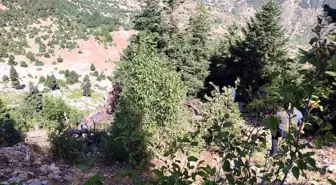 Adana'da Uçuruma Yuvarlanan Otomobilde 2 Kişi Hayatını Kaybetti