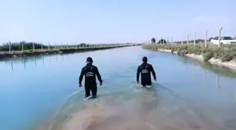 Şanlıurfa'da baraj gölüne giren 11 yaşındaki çocuk kayboldu