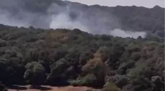 Sarıyer'de ormanda yangın-1