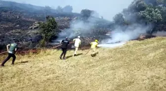 Tokat'ta Çıkan Örtü Yangını Kontrol Altına Alındı