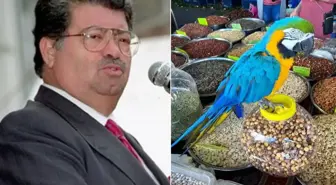 Turgut Özal'ın papağanı yine çalındı