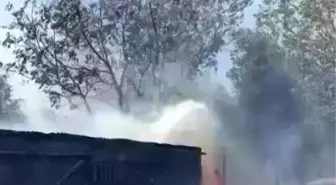 Derince'de Ağaçlık Alanda Yangın