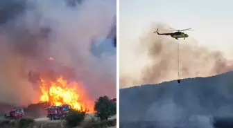 Balıkesir'de arazide çıkan yangın ormanlık alana sıçradı