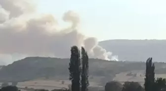 Balıkesir'de orman yangını