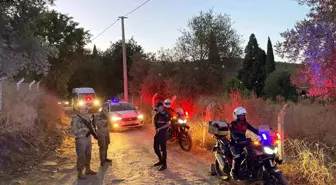 Aydın'da Jandarma İncir Hırsızlıklarına Karşı Denetim Yapıyor