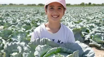 Kilosu 10 liradan satılıyor, hepsi 100 yıllık ata tohumu