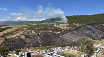Kocaeli Derince'de Ot Yangını, Ormana Sıçramaması İçin Mücadele