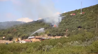 Kocaeli'de Ot Yangını Ormana Sıçradı, Kontrol Altına Alındı