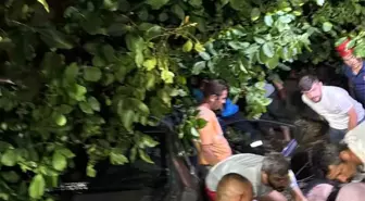 Adapazarı'nda Kontrolden Çıkan Araç Ağaçlık Alana Girdi: 3 Yaralı