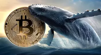 Kripto piyasasında balina satışları Bitcoin'i vurdu