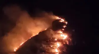 Marmara Adası'nda Orman Yangını Çıktı