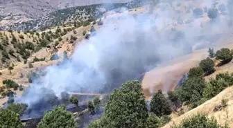 Malatya Pütürge'de Orman Yangını Kontrol Altında