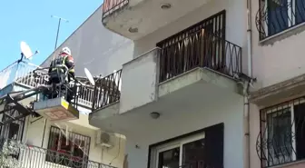 Aydın'da Mahsur Kalan Kedi, İtfaiye Ekiplerinin Gelmesini Beklemeden Kaçtı