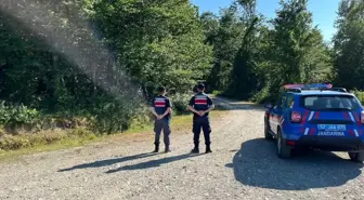 Sinop'ta Orman Yangınlarına Karşı Denetim ve Cezai İşlemler