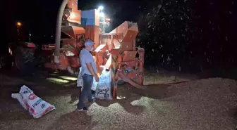 Düzce'de Fındık Hasadı Sonrası Üreticiler Nöbet Tutuyor