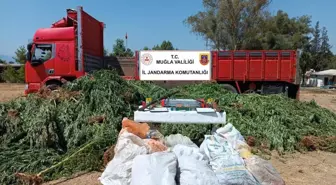 Köyceğiz'de Uyuşturucu Operasyonu: Çift Tutuklandı
