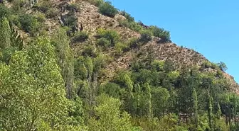 Çorum'da Kayıp Yaşlı Adam 10 Gün Sonra Bulundu