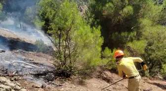 Adana'da Orman Yangını Kontrol Altına Alındı