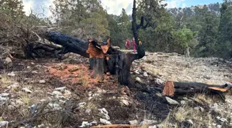 Burdur'da Yıldırım Düşmesi Yangına Neden Oldu