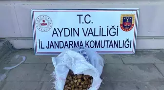 İncir Hırsızları Jandarma Tarafından Yakalandı