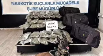 Yüksekova'da Uyuşturucu Operasyonu: 26 Kilogram Skunk Ele Geçirildi