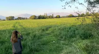 Iğdır'da Av Dönemi Başladı: Denetimler Sıkılaştırıldı