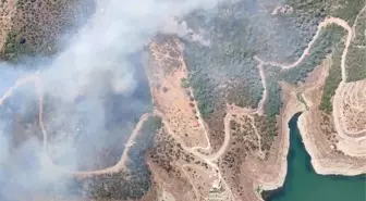 İzmir Seferihisar'da Orman Yangını