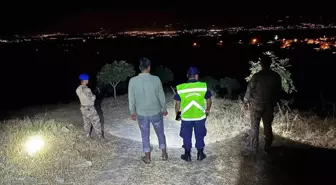 Aydın'da İncir Hırsızlığına Karşı Jandarma Denetimi
