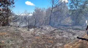 Hendek'te Orman Yangını Kontrol Altına Alındı