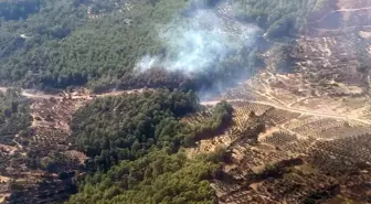 Muğla'nın Seydikemer ilçesinde orman yangını kontrol altına alındı